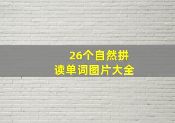 26个自然拼读单词图片大全