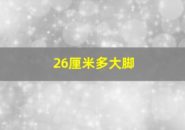 26厘米多大脚