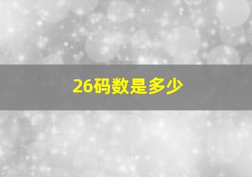 26码数是多少