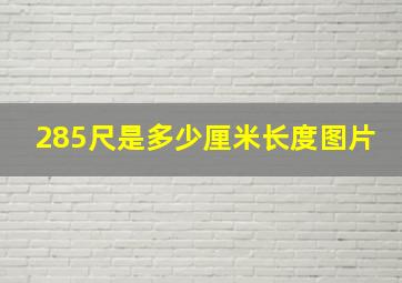 285尺是多少厘米长度图片