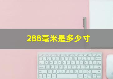 288毫米是多少寸