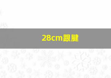 28cm跟腱