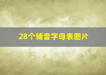 28个辅音字母表图片