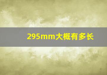 295mm大概有多长