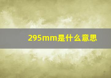 295mm是什么意思