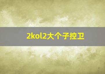 2kol2大个子控卫