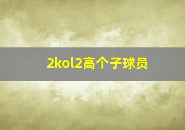 2kol2高个子球员