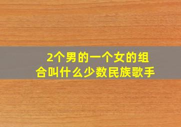 2个男的一个女的组合叫什么少数民族歌手