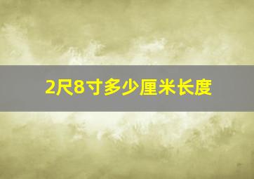 2尺8寸多少厘米长度