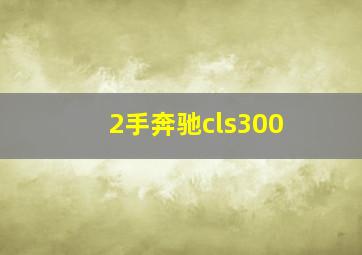 2手奔驰cls300