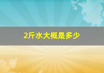 2斤水大概是多少