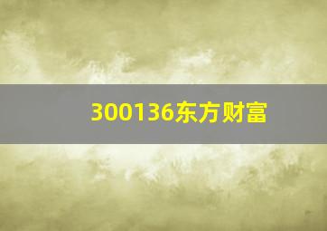 300136东方财富