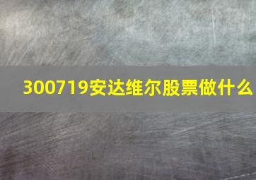 300719安达维尔股票做什么