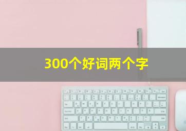 300个好词两个字