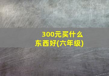 300元买什么东西好(六年级)