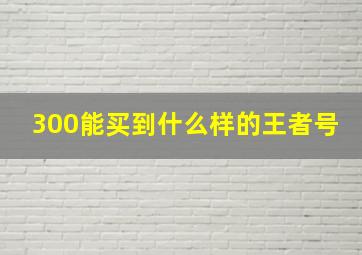 300能买到什么样的王者号