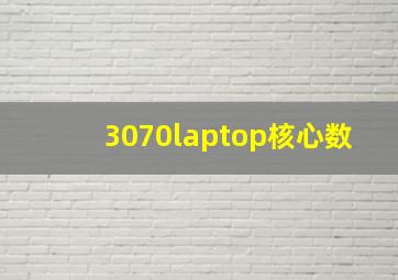 3070laptop核心数