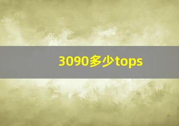 3090多少tops