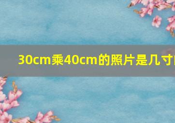 30cm乘40cm的照片是几寸的