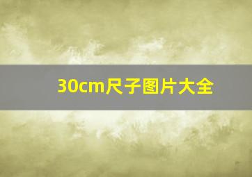 30cm尺子图片大全