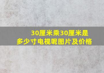 30厘米乘30厘米是多少寸电视呢图片及价格