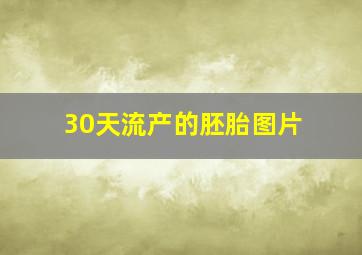 30天流产的胚胎图片