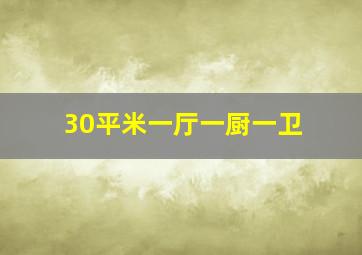 30平米一厅一厨一卫