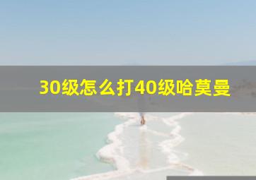 30级怎么打40级哈莫曼