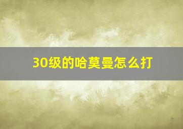 30级的哈莫曼怎么打