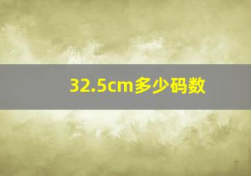 32.5cm多少码数