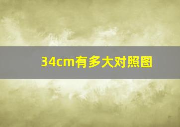 34cm有多大对照图