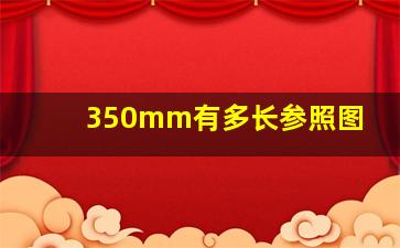 350mm有多长参照图