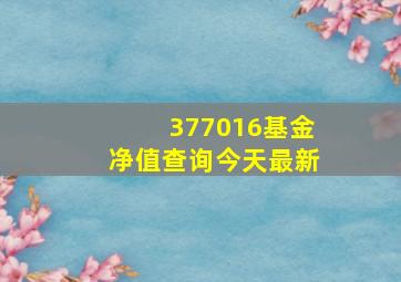 377016基金净值查询今天最新