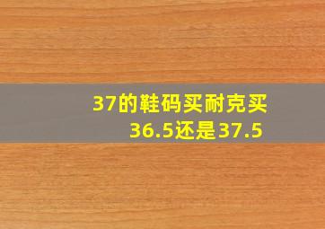 37的鞋码买耐克买36.5还是37.5