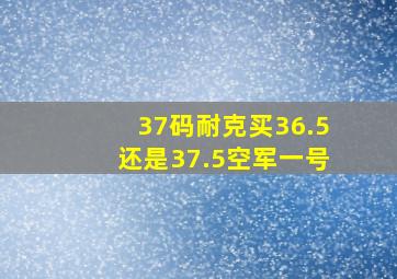 37码耐克买36.5还是37.5空军一号