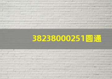 38238000251圆通