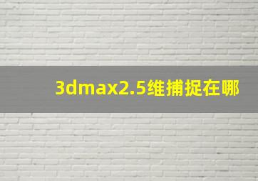 3dmax2.5维捕捉在哪