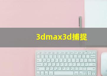 3dmax3d捕捉