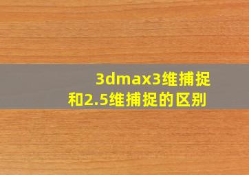 3dmax3维捕捉和2.5维捕捉的区别