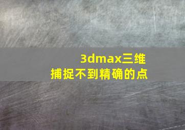 3dmax三维捕捉不到精确的点