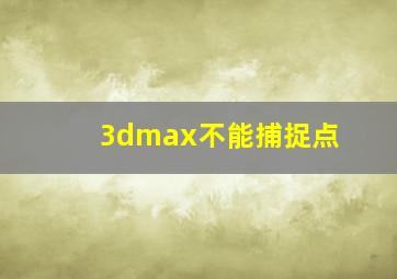 3dmax不能捕捉点