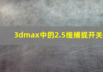 3dmax中的2.5维捕捉开关