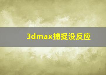 3dmax捕捉没反应