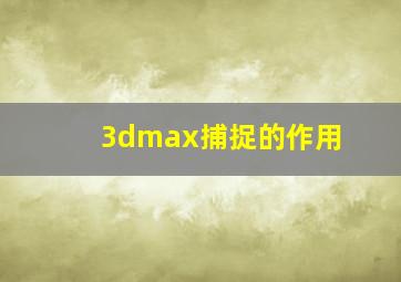 3dmax捕捉的作用