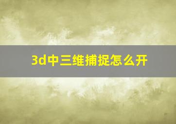 3d中三维捕捉怎么开