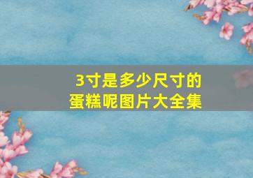 3寸是多少尺寸的蛋糕呢图片大全集