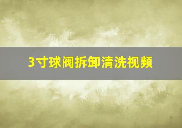 3寸球阀拆卸清洗视频