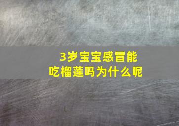 3岁宝宝感冒能吃榴莲吗为什么呢