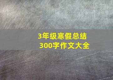 3年级寒假总结300字作文大全