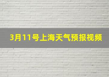 3月11号上海天气预报视频